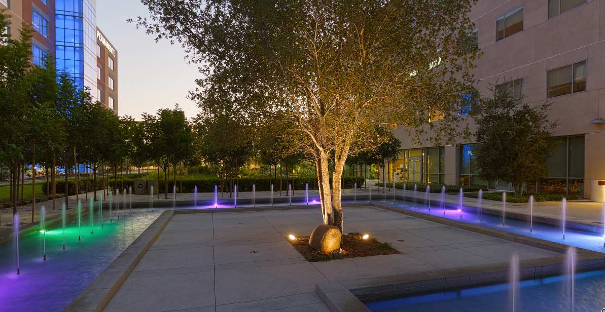 Healthcare fountain at night with tree view